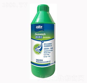 海藻精-歐美卡-海鯨靈