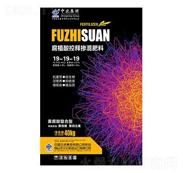 腐植酸控釋摻混肥料19-19-19-中農(nóng)-益農(nóng)農(nóng)業(yè)