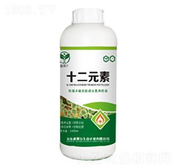 十二元素-鑫萊爾