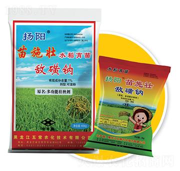 苗施壯水稻育苗肥-敵磺鈉-五常