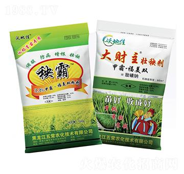 水稻壯秧劑-五常