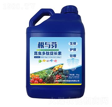 昆蟲多肽促長素-根與芽-新龍生物