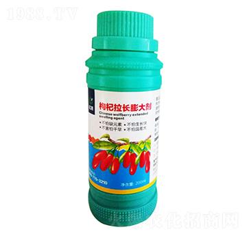 枸杞拉長膨大劑-匯禾生物