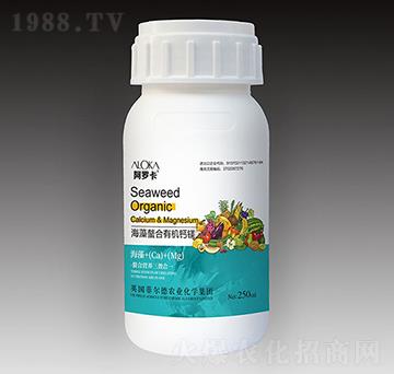 ���������ЙC(j��)�}�V-�����_-�Ɲ��r(n��ng)��