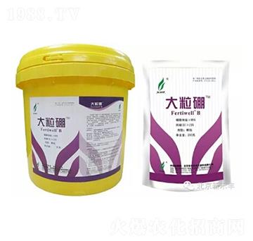 大粒硼-綠星農業(yè)