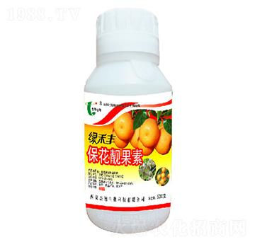 �����n����-�G���S-��������