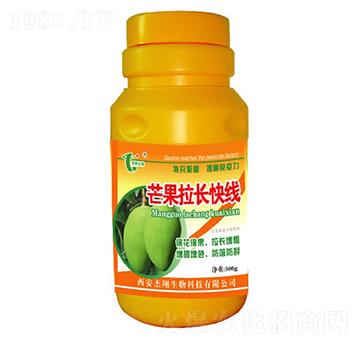 â�����L�쾀-��������