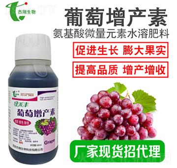 葡萄增產(chǎn)素-綠豐禾-杰翔生物
