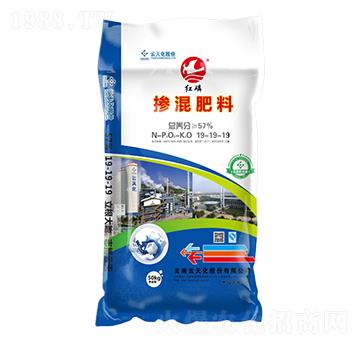 �������19-19-19-�t��-���o(j��)����