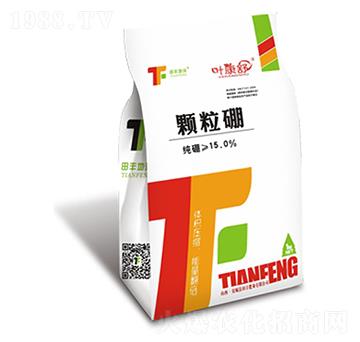 �w����-�~����-���S����