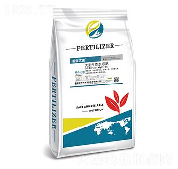 大量元素水溶肥20-20-20+MgO+TE-海潤(rùn)華瑞
