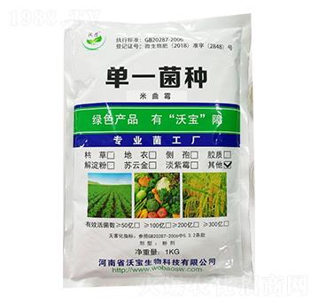 米曲霉-沃寶生物