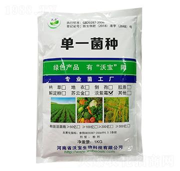 淡紫擬青霉-沃寶生物