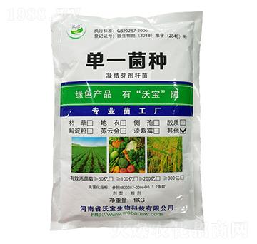 凝結(jié)芽孢桿菌-沃寶生物