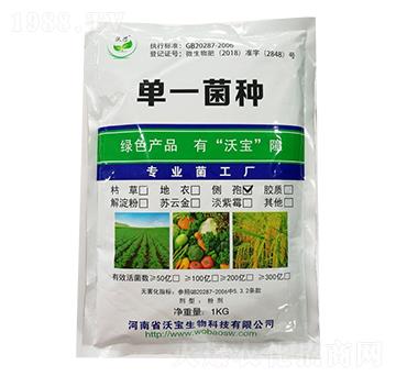 側(cè)孢芽孢桿菌-沃寶生物