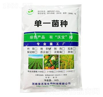 地衣芽孢桿菌-沃寶生物