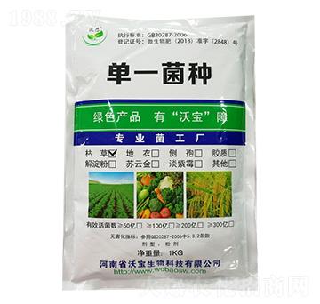 枯草芽孢桿菌-沃寶生物