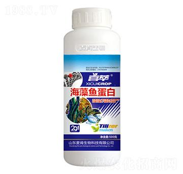 海藻魚蛋白-麥肯生物