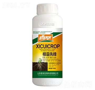 �������h-��������