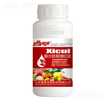 ϲ�����������t��-ϲ��-��������