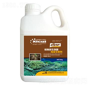 ̼ø΢���������������-��������