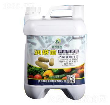 潤耕苗枯草芽孢桿菌-菌禾生物