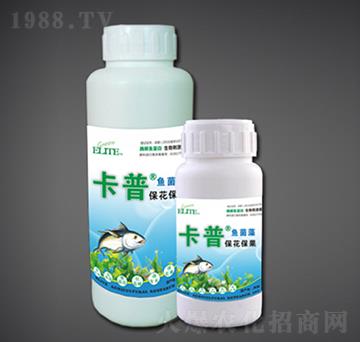 ?；ū９兔附怍~蛋白-綠金高新