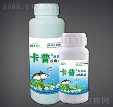 抗病抗逆型酶解魚蛋白-綠金高新