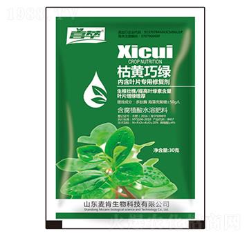 ���S�ɾG�~Ƭ�����ޏ̈́�-��������