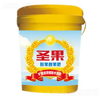膨果靚果肥-圣果-禾迪