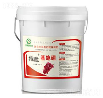 掘金基施硼-禾迪