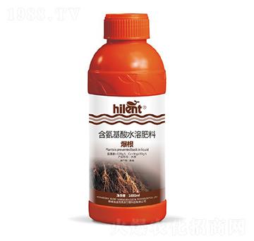 爆根含氨基酸水溶肥料-海藍特