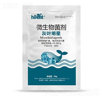 微生物菌劑-灰葉明星-海藍(lán)特