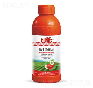 草莓空心病沖施專用微生物菌劑-海藍(lán)特