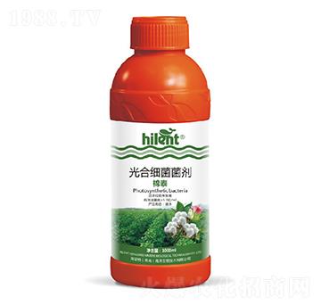 光合細(xì)菌菌劑-棉泰-海藍(lán)特