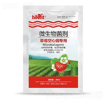 草莓空心病專用微生物菌劑-海藍(lán)特