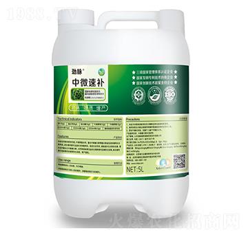 中微速補(bǔ)-勁脈