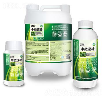 中微速補組合-勁脈