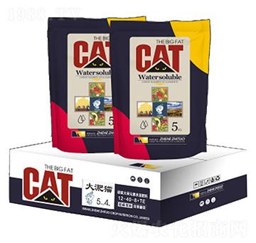 硅碳大量元素水溶肥12-40-8+TE-大淝貓-云惠農(nóng)