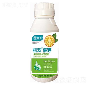 桔歡·催芽-植觀-龍燈農(nóng)業(yè)