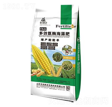 多效氨酶海藻肥-增產粒粒豐-華創(chuàng)聯(lián)合