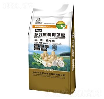 蔥姜蒜專用多效氨酶海藻肥-華創(chuàng)聯(lián)合