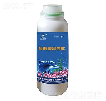 酶解魚(yú)蛋白肽（1000g）-華創(chuàng)聯(lián)合