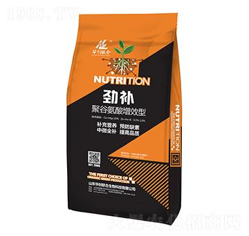 勁補聚谷氨酸增效型-華創(chuàng)聯(lián)合