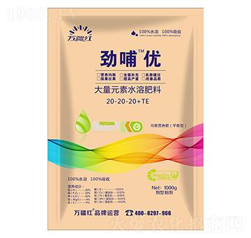 1000g����I(y��ng)�B(y��ng)�ʹ���Ԫ��ˮ�ܷ���20-20-20+TE-�Ų���(y��u)-�f(w��n)���t