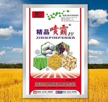 精品噴霸1號-京九