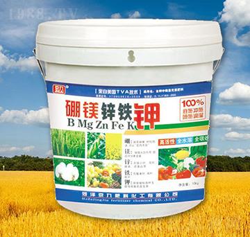 硼鎂鋅鐵鉀-京九