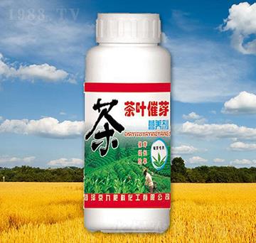 ���~��ѿ�I�B(y��ng)��-����