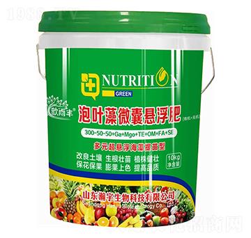 多元超懸浮海藻提苗型-泡葉藻微囊懸浮肥-瀚宇生物