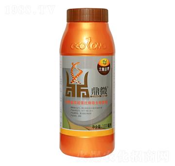 鼎微枯草芽孢桿菌-植物龍